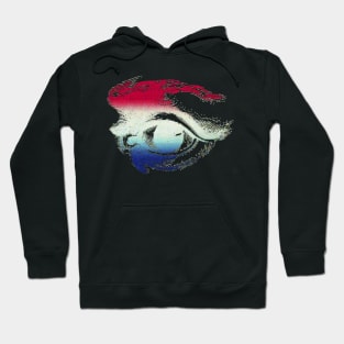 Eye USA Flag Hoodie